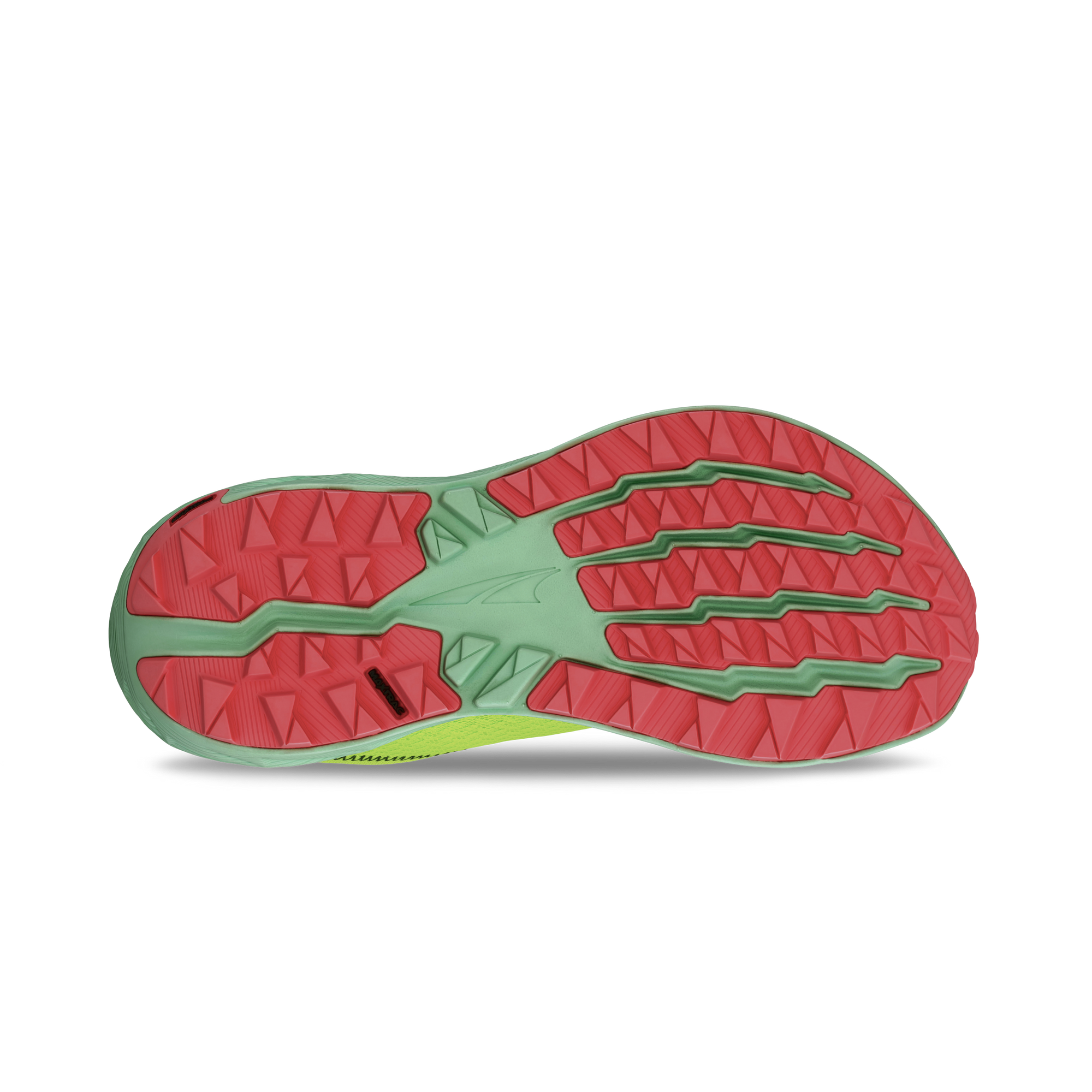 Experience Wild 2 Ladies