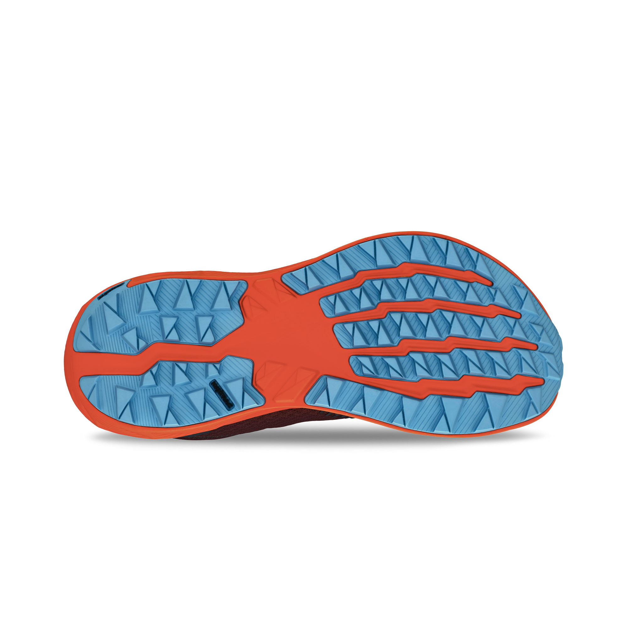 Experience Wild 2 Ladies