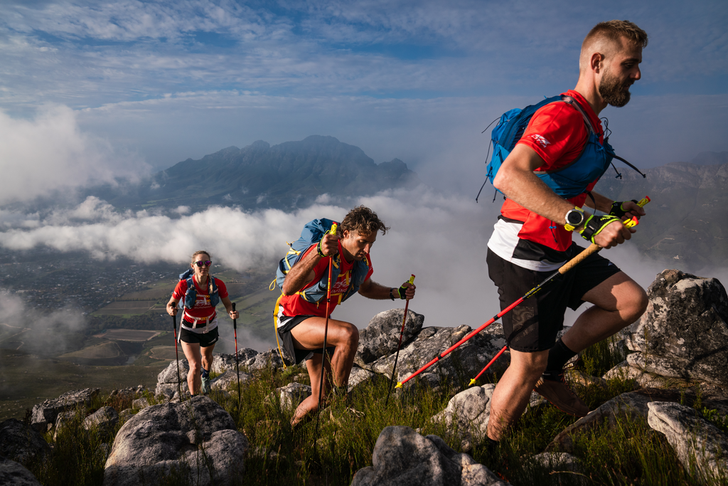 Leki trail 2025 running pole