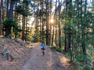  Go the extra mile (or 100 miles) in our trail running shoes with these Altra athlete tips